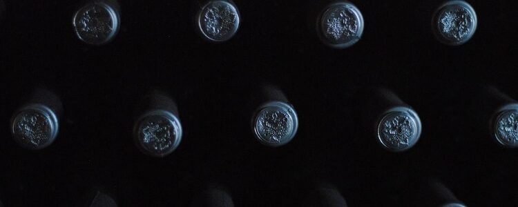 “Denominazione di Origine Controllata e Garantita” (DOCG) wijnkwalificatie